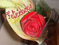 Un libro, una rosa...¡Felicidades, para tí!