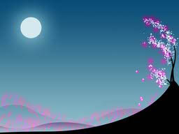 ... mientras la luna se teje, su abrigo de luna y miedo ...